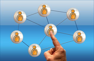 kaiyun官方网站-2024年国际乒联混合团体世界杯：德国队顽强拼搏，2024世乒赛